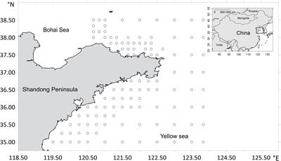 Matching Data Types to the Objectives of Species Distribution Modeling: An Evaluation With Marine Fish Species